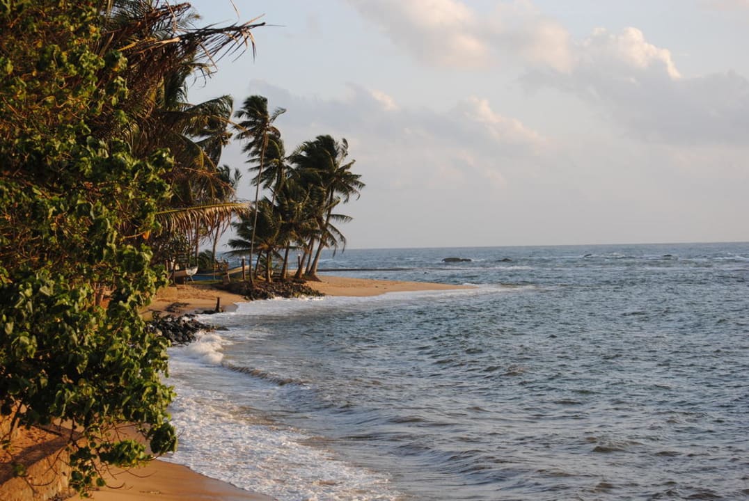 Strand vor dem Hotel links Earl’s Reef Beruwala
