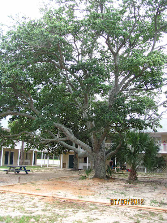 Blick auf Zimmer und Fenster Hotel Super 8 Biloxi