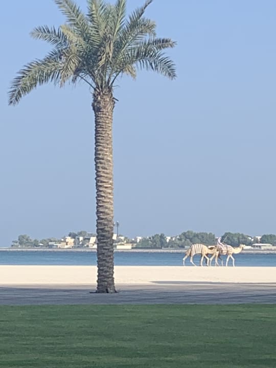 Strand Emirates Palace Mandarin Oriental