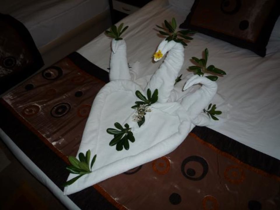 Schwan Oz Hotels Incekum Beach