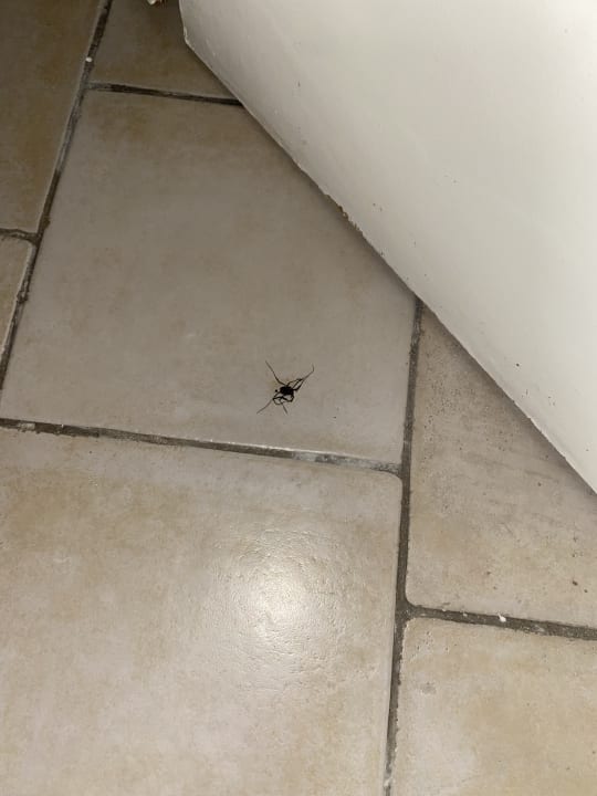 Zimmer Grecotel Casa Paradiso