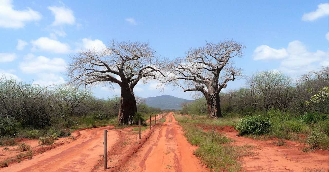 Der lange Weg zum Rhino Valley Rhino Valley Lodge