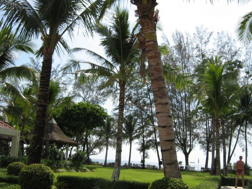 Blick zum Strand The Briza Beach Resort Khaolak