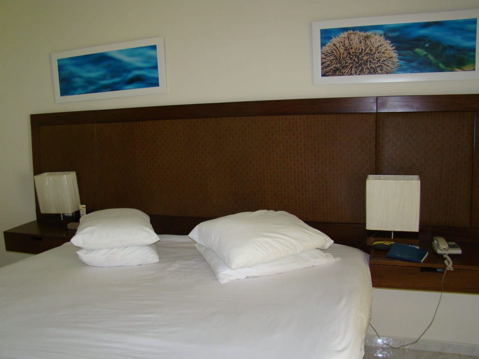 Zimmer Wyndham Alltra Samana