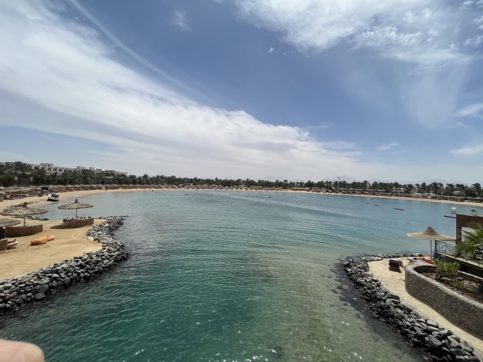 Ausblick Desert Rose