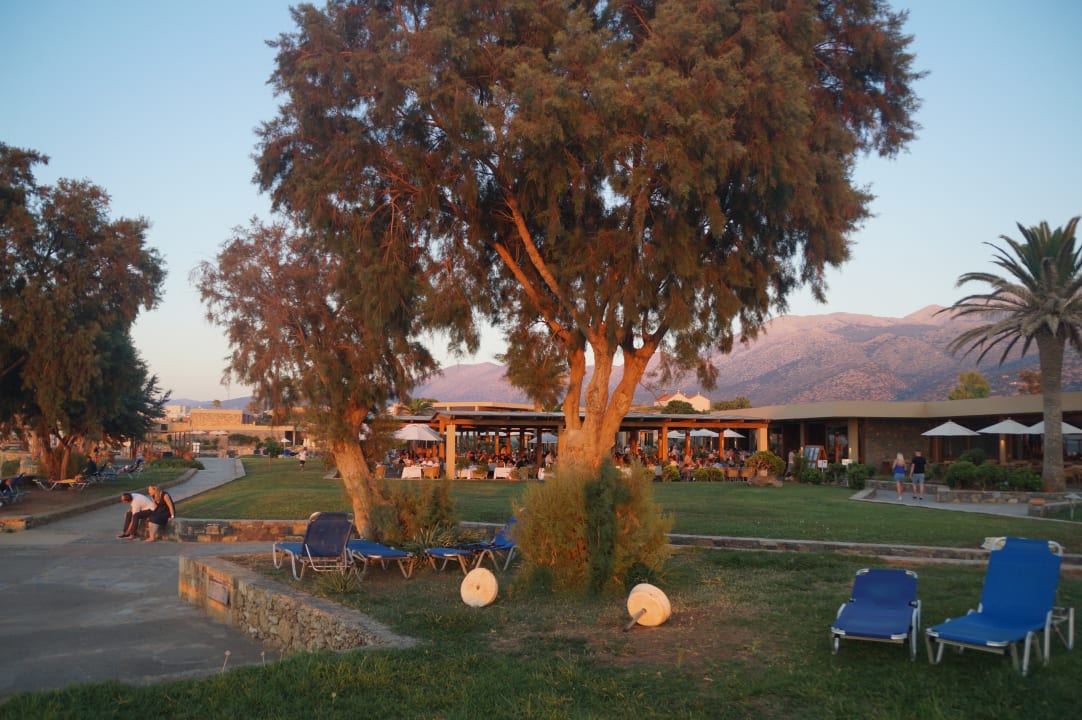 Garten Kernos Beach Hotel & Bungalows