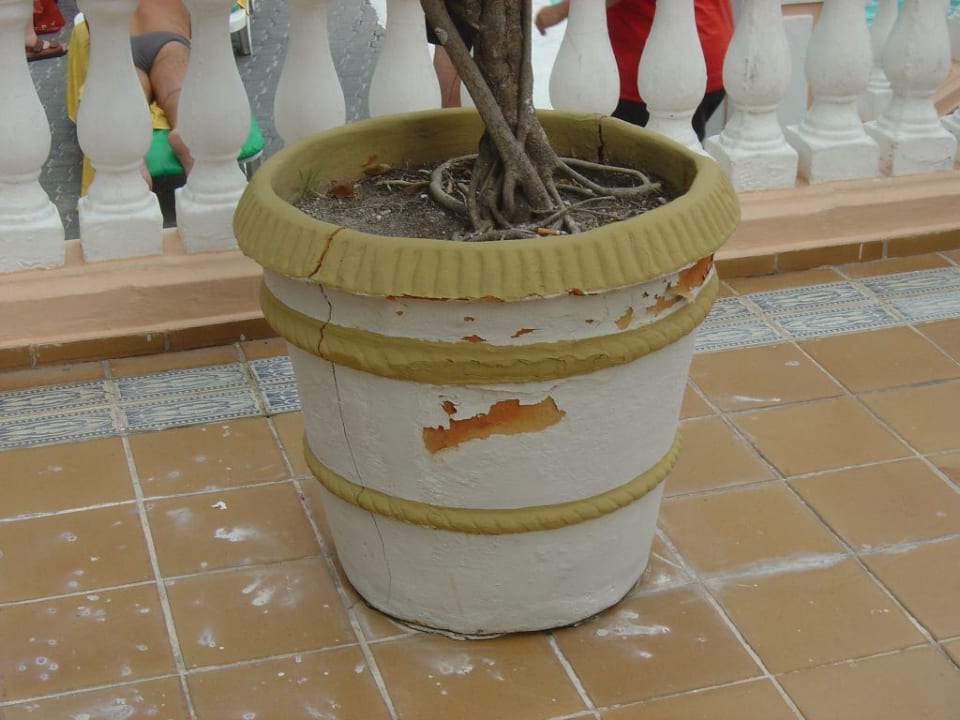 Außendeko Hotel Riu Bambu