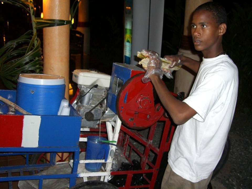 Herstellung Zuckerrohr Grand Palladium Select Bávaro Resort & Spa