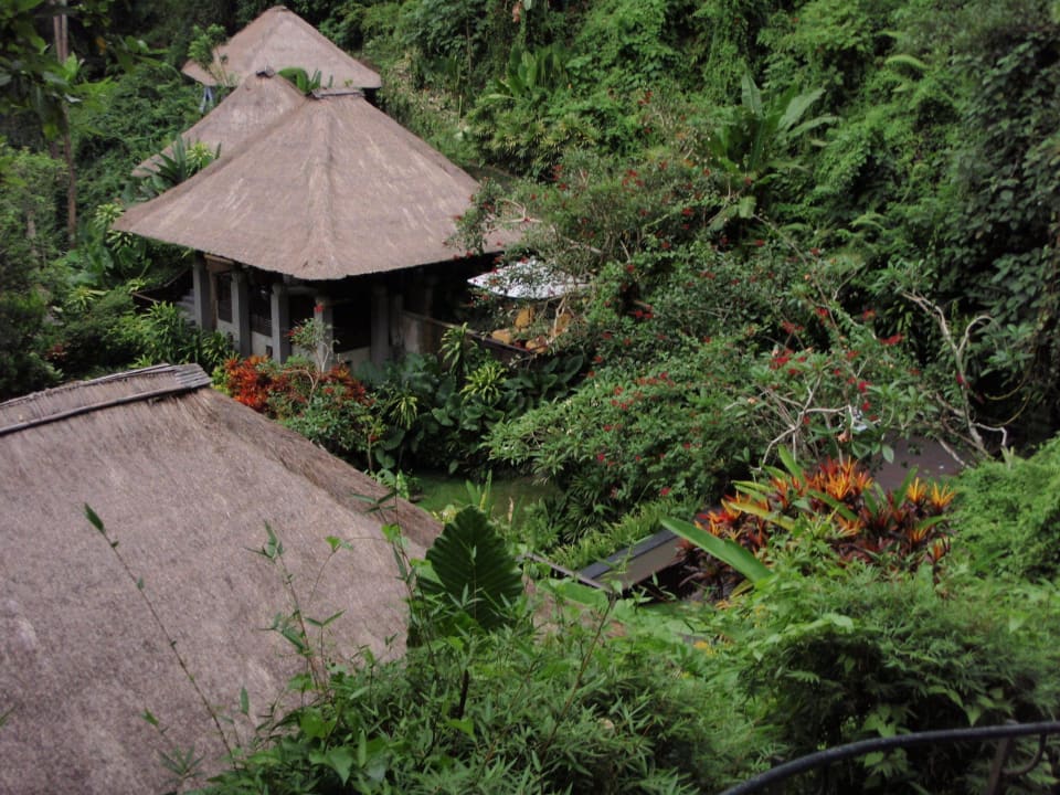 Spa Maya Ubud Resort & Spa Bali