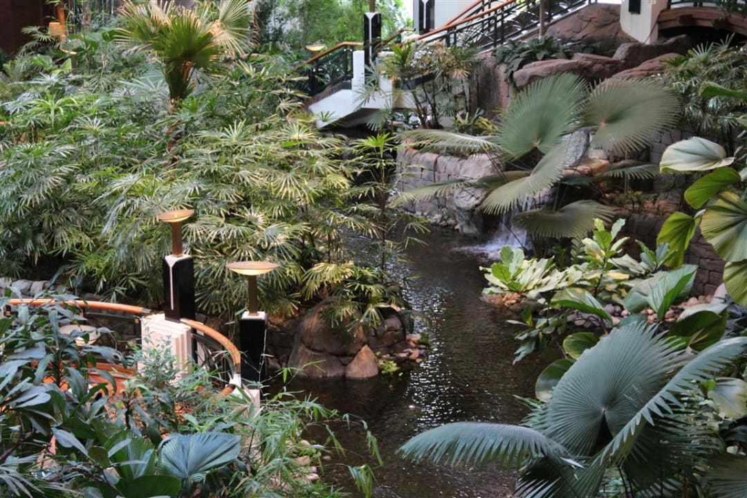 Im Hotel / tropischer Garten Grand Hyatt Dubai