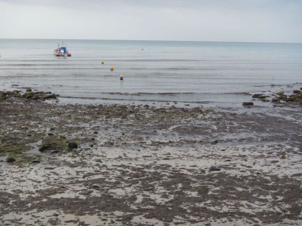 Bei Ebbe kaum möglich ins Wasser zu kommen SBH Costa Calma Beach Resort