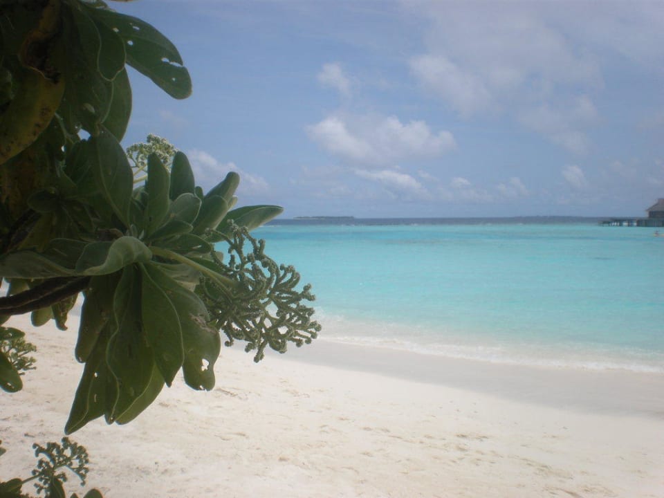 Farbenspiele! Sun Siyam Iru Fushi
