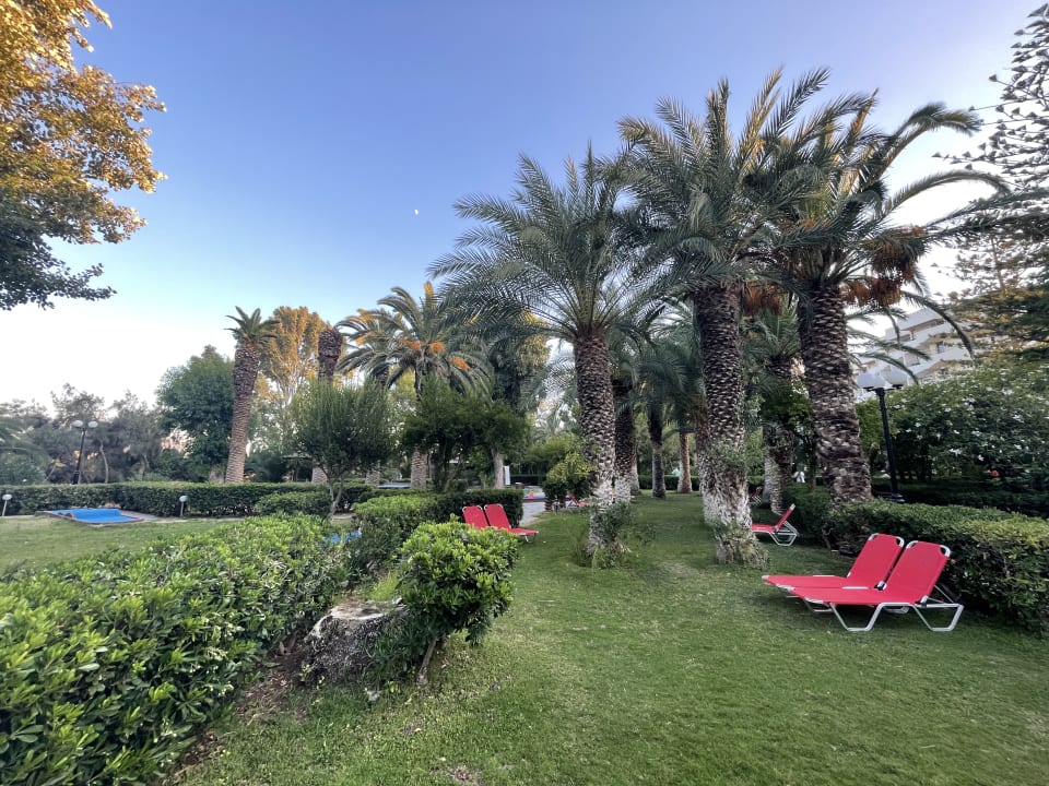 Gartenanlage Apollonia Beach Resort & Spa