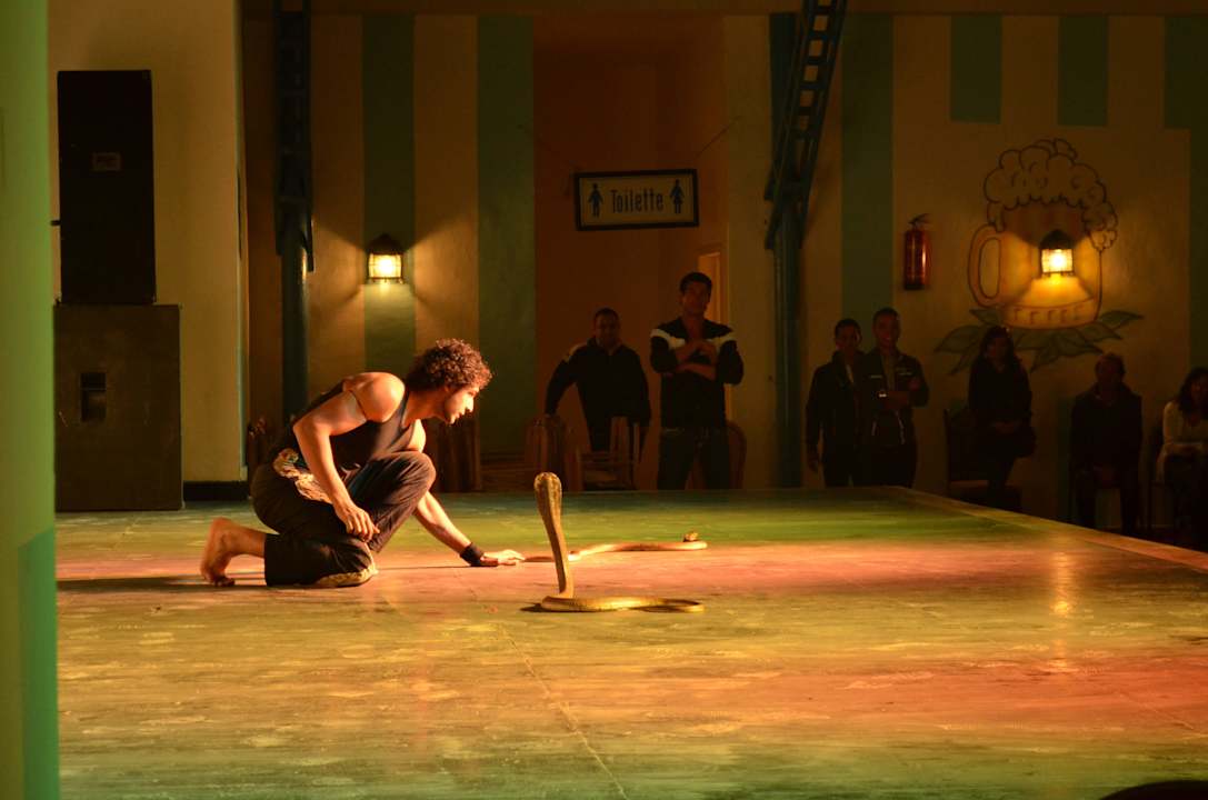 Hotelowe animacje Pickalbatros Alf Leila Wa Leila Resort - Neverland Hurghada