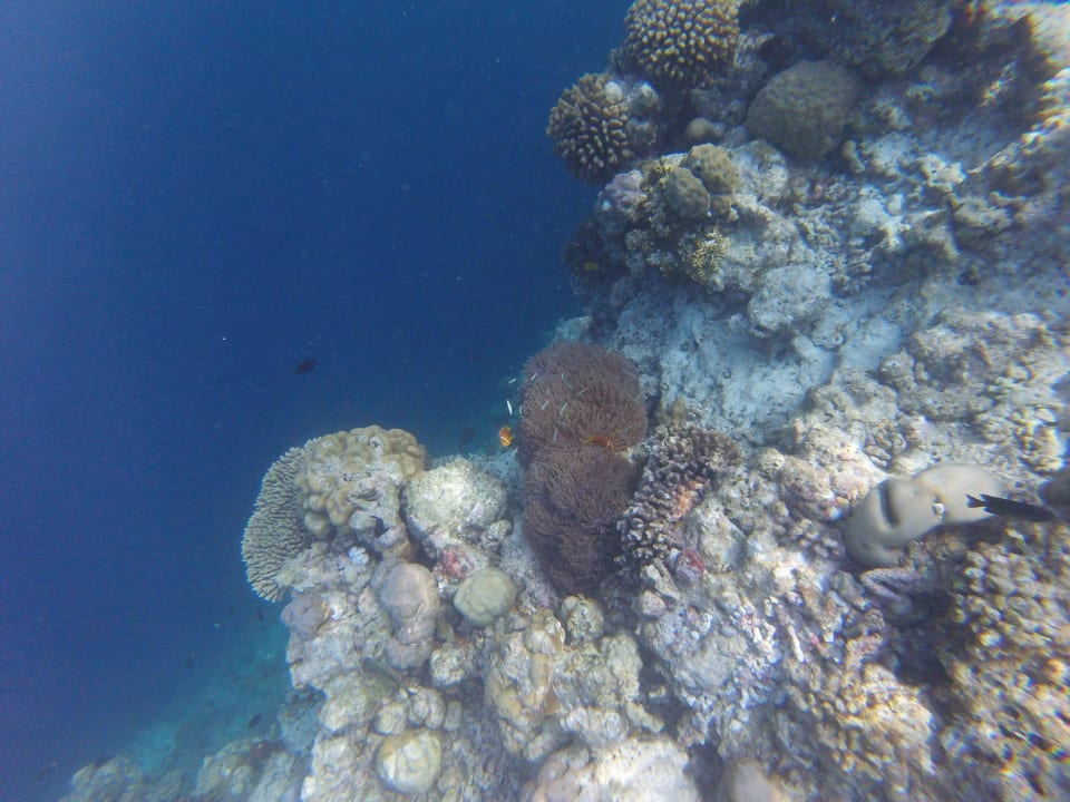 Sonstiges Sun Siyam Vilu Reef