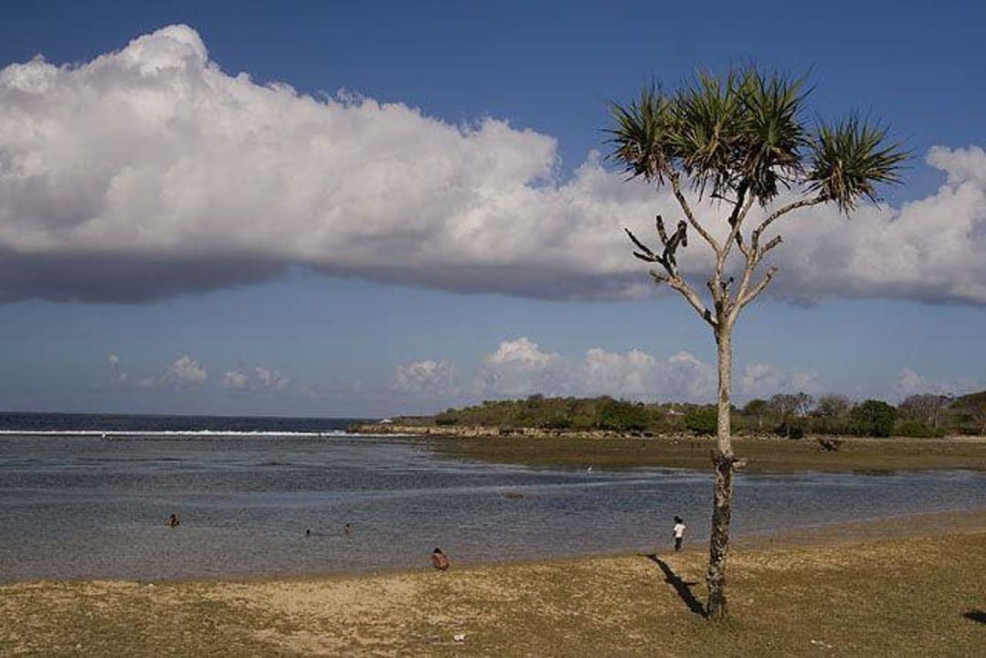 Ebbe The Laguna A Luxury Collection Resort & Spa