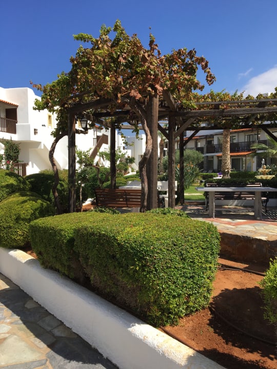 Gartenanlage Alexander Beach Hotel & Village Resort