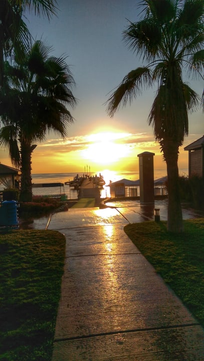 Gartenanlage TUI MAGIC LIFE Beldibi +16