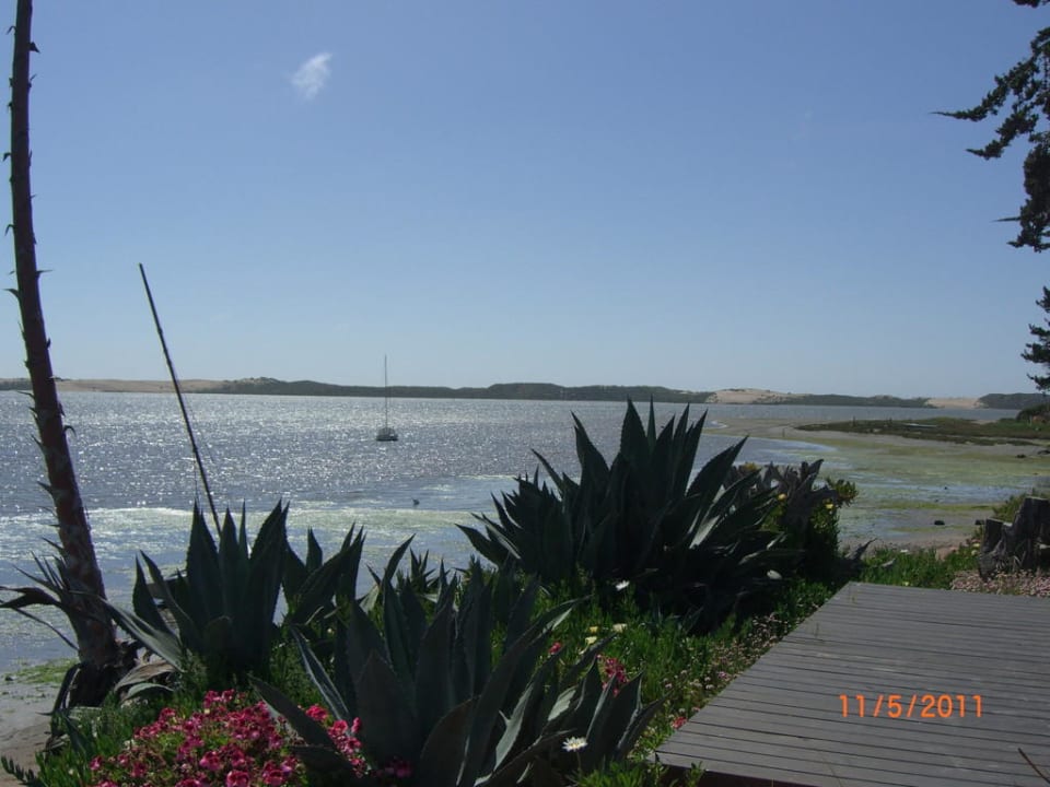 Schöner Blick Baywood Inn B&B