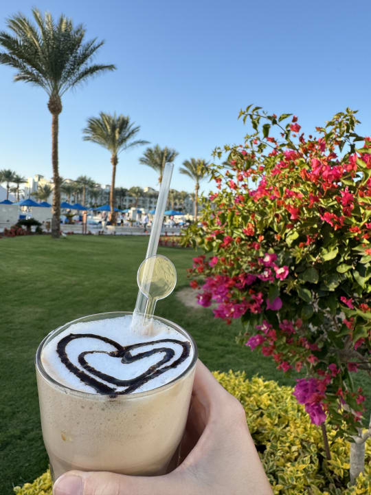 Gastro Pickalbatros Dana Beach Resort - Hurghada