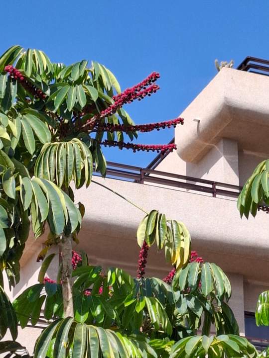 Außenansicht Hotel Parque del Sol