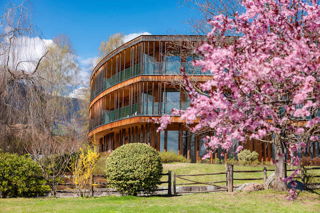 Außenansicht Hotel Der Waldhof