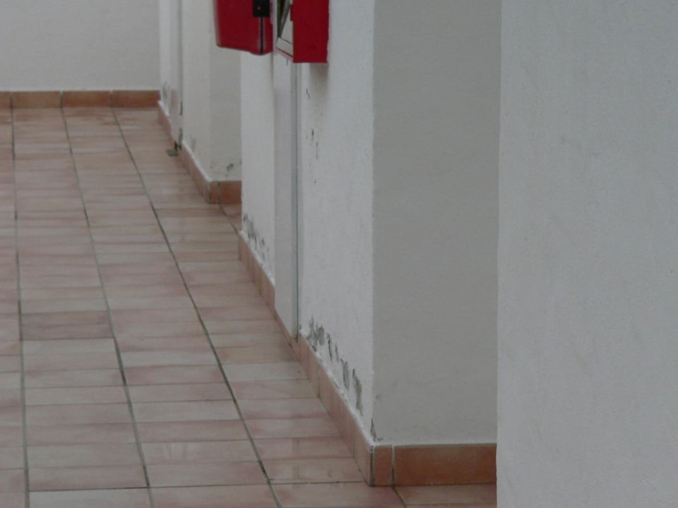 Ungepflegte Außenanlage Club Jandia Princess