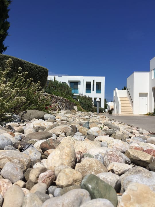 Sonstiges Atlantica Plimmiri