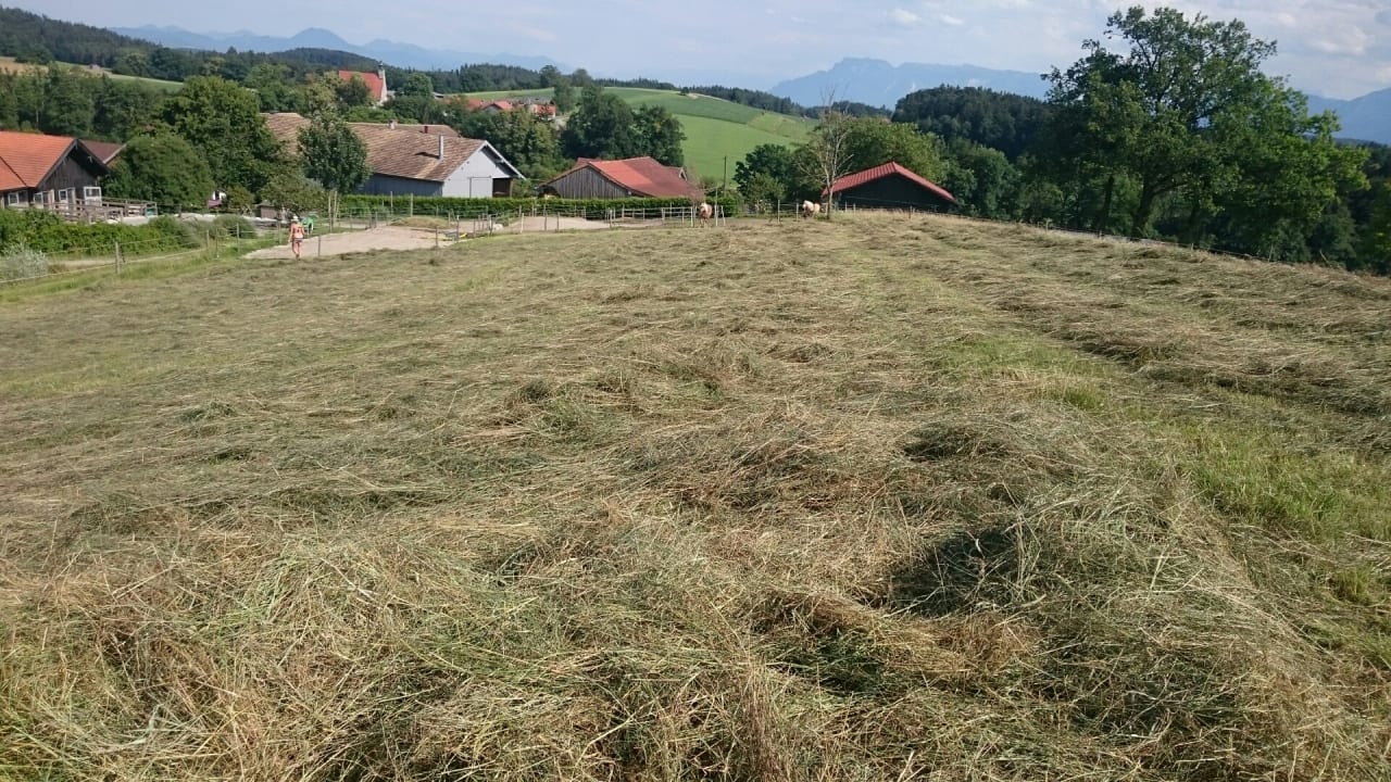 Sonstiges Höglerhof  Ferienwohnung Westenburger