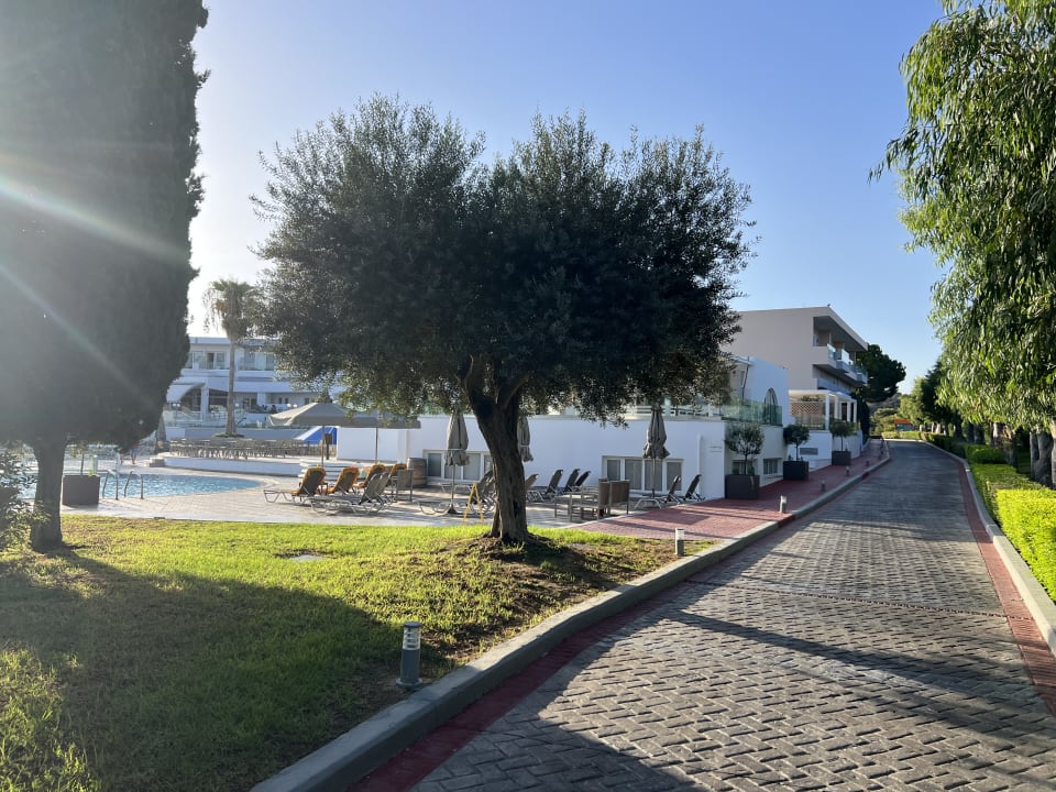 Gartenanlage Atlantica Marmari Palace