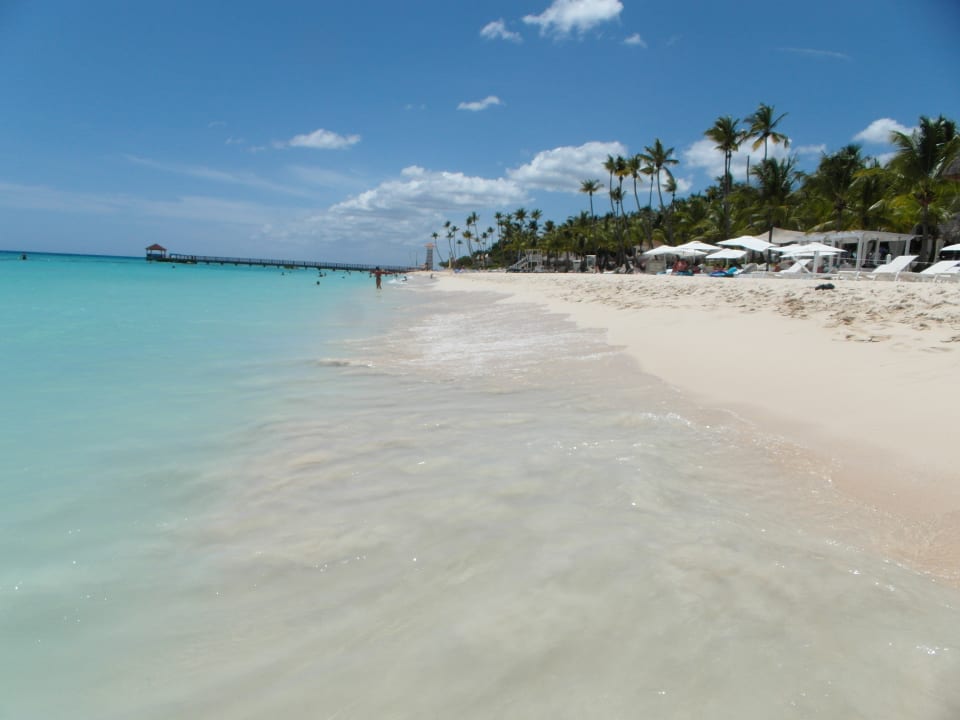Strand Catalonia Royal La Romana - Adults only