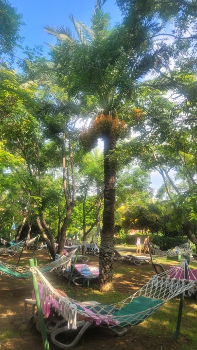 Gartenanlage Belconti Resort Hotel