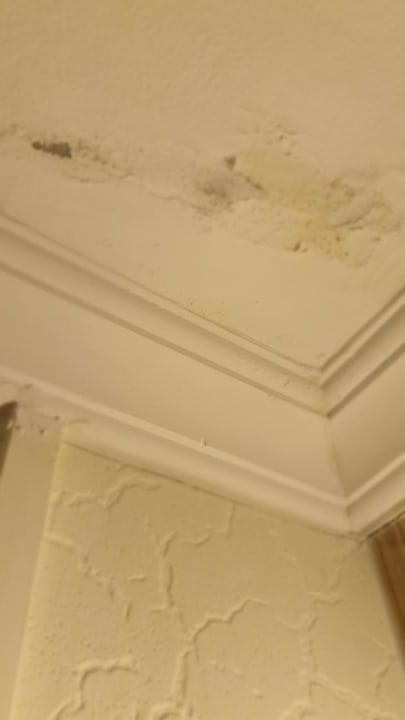 Zimmer Side Miami Beach