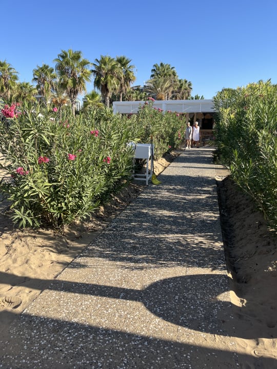 Gartenanlage TUI BLUE Xanthe