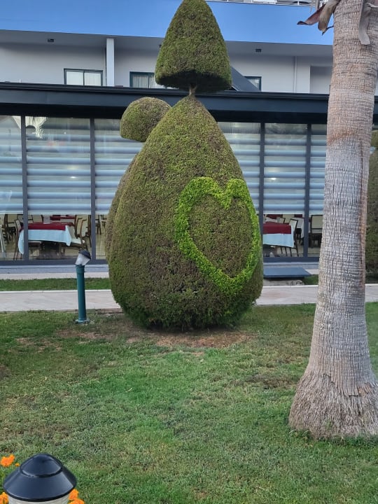 Gartenanlage Grand Seker Hotel