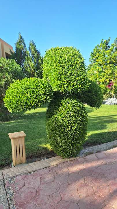 Gartenanlage Wadi Lahmy Azur Resort