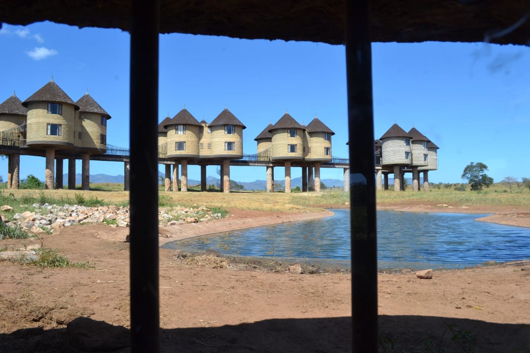 Hotel Salt Lick Safari Lodge