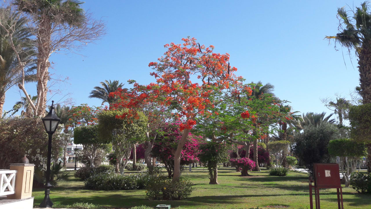 Gartenanlage The Grand Hotel Hurghada