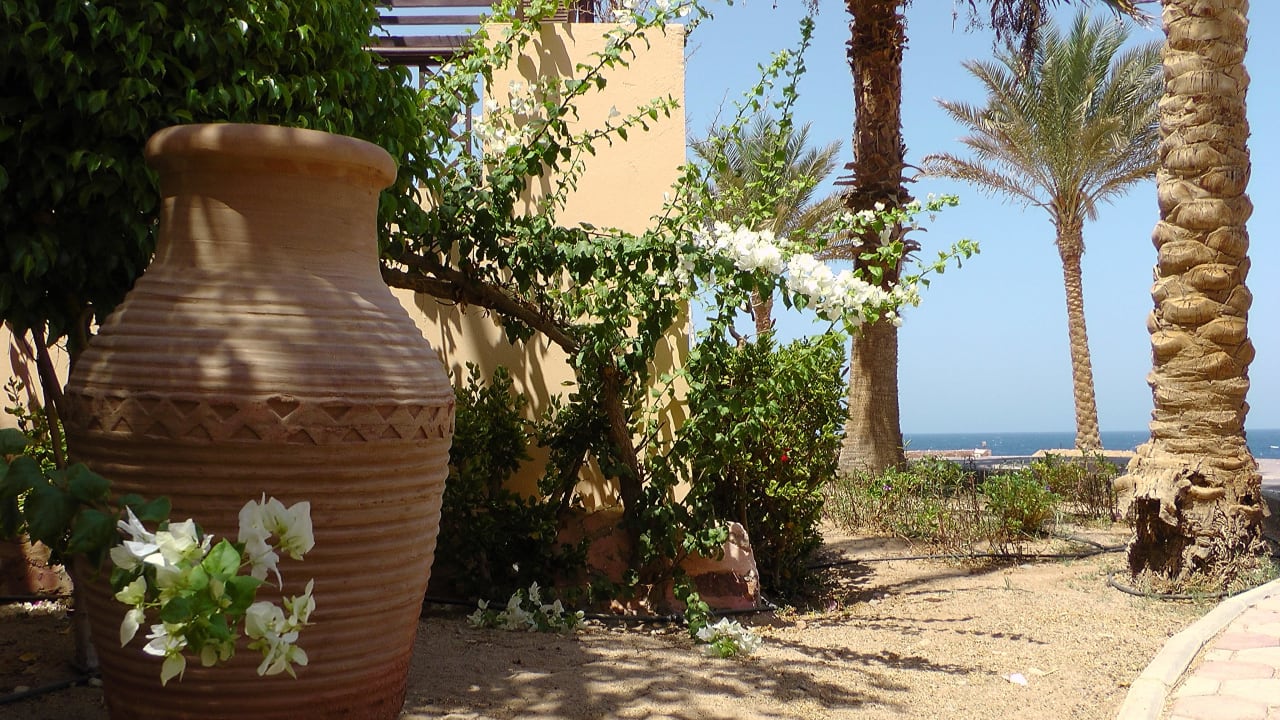 Bild Steigenberger Coraya Beach - Adults only