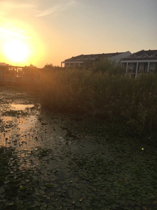 Außenansicht Jiva Beach Resort