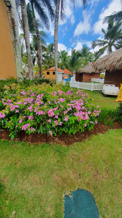 Gartenanlage Hotel Viva Dominicus Palace by Wyndham-All Inclusive Resort