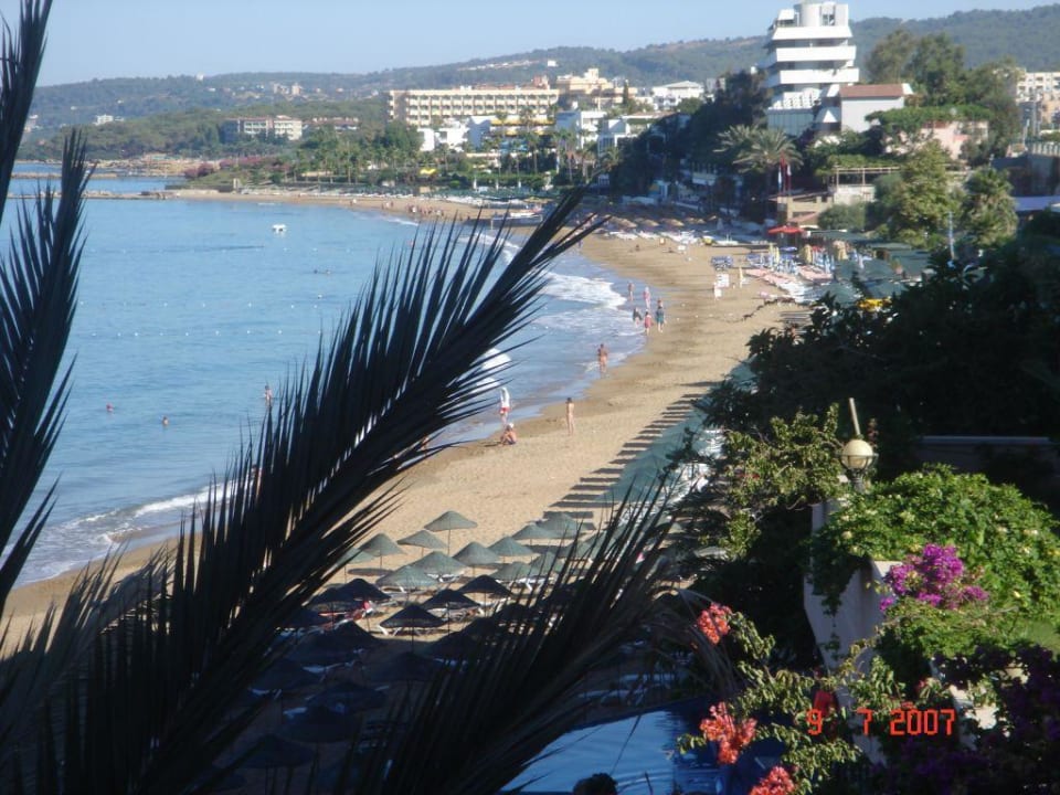 Ausblick Aska Hotel Just in Beach