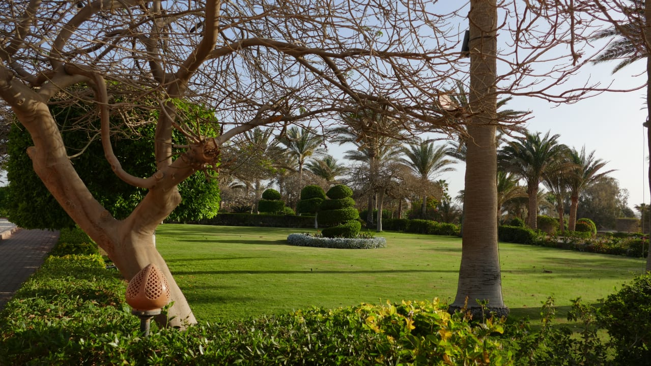 Gartenanlage Mövenpick Resort El Quseir