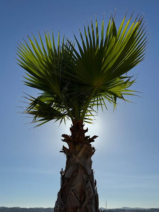 Außenansicht Divani Corfu Palace