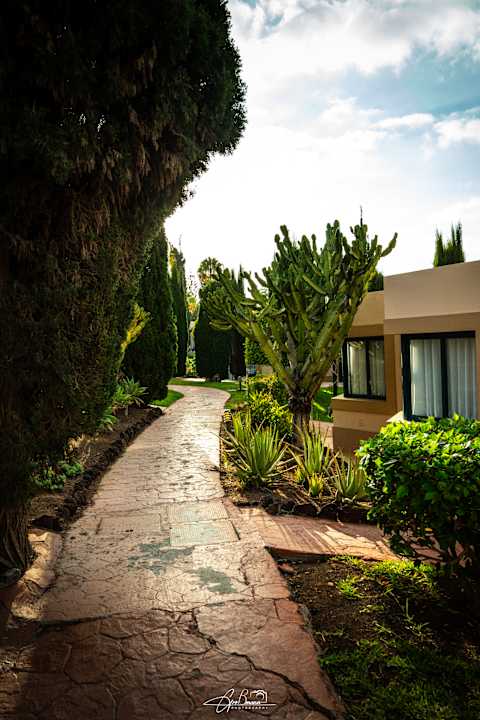Gartenanlage allsun Hotel Esplendido
