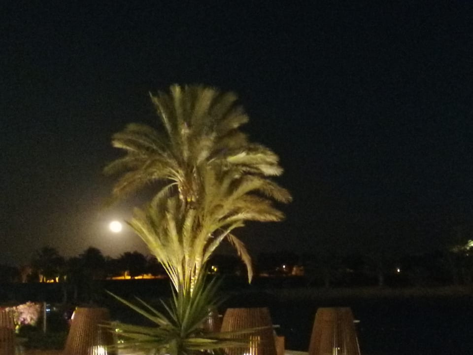 Gartenanlage Steigenberger Golf Resort El Gouna