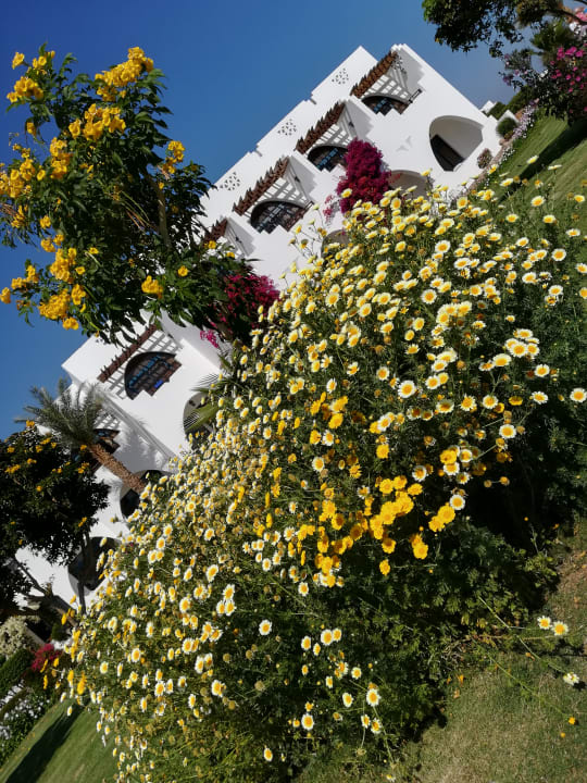 Gartenanlage Three Corners Equinox Beach Resort