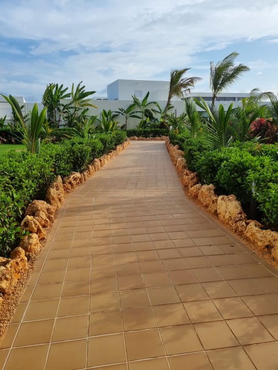 Gartenanlage Hotel Riu Jambo