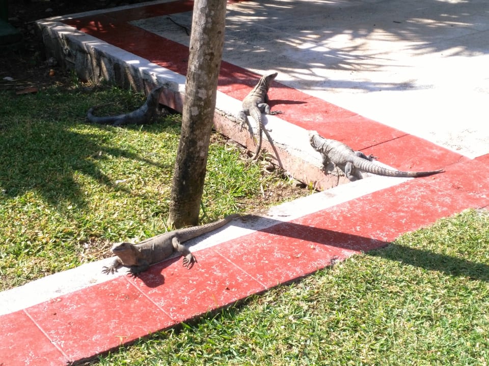 Sonstiges Bahia Principe Luxury Akumal
