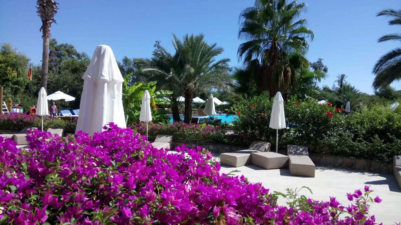 Pool TUI MAGIC LIFE Sarigerme
